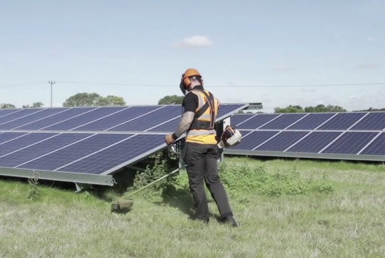 Solar field mowing