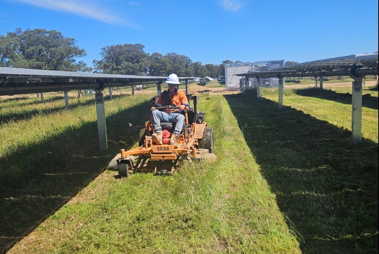 Solar field mowing