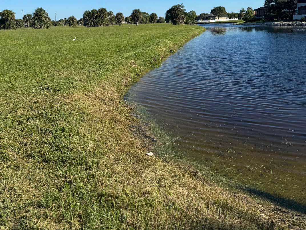 Lake bank mowing after