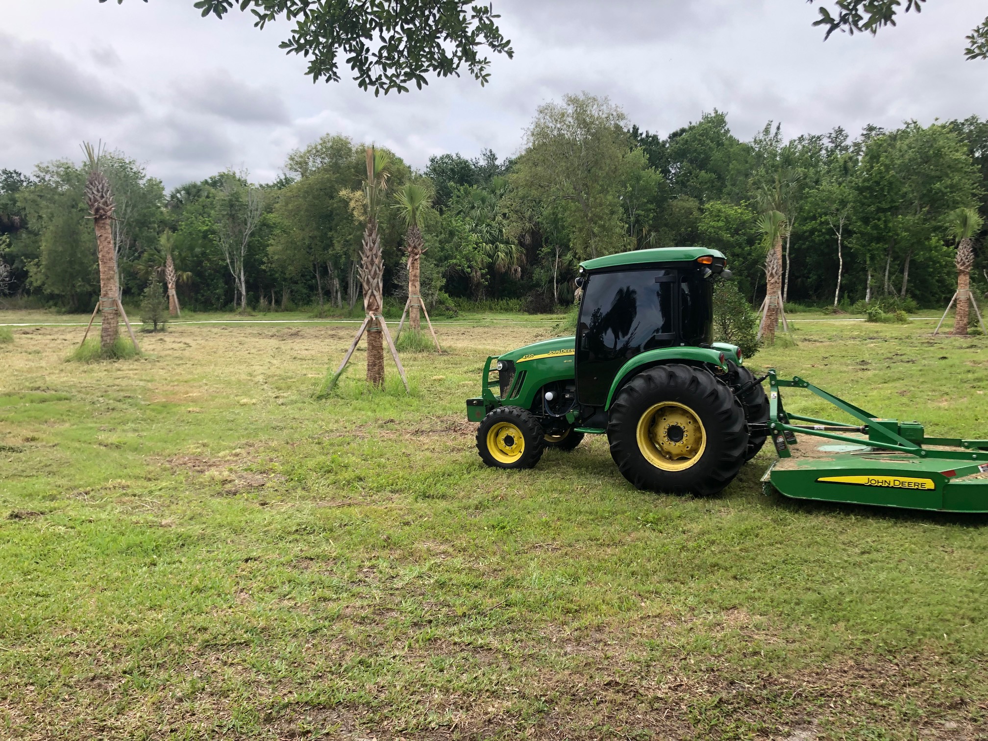 After Vacant Lot Field Clearing