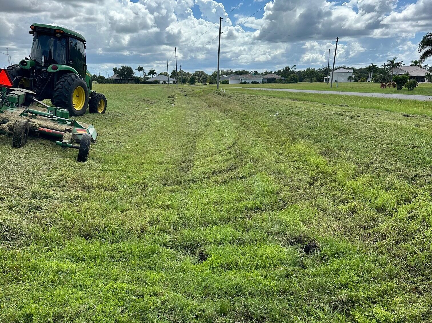 After Field Mowing