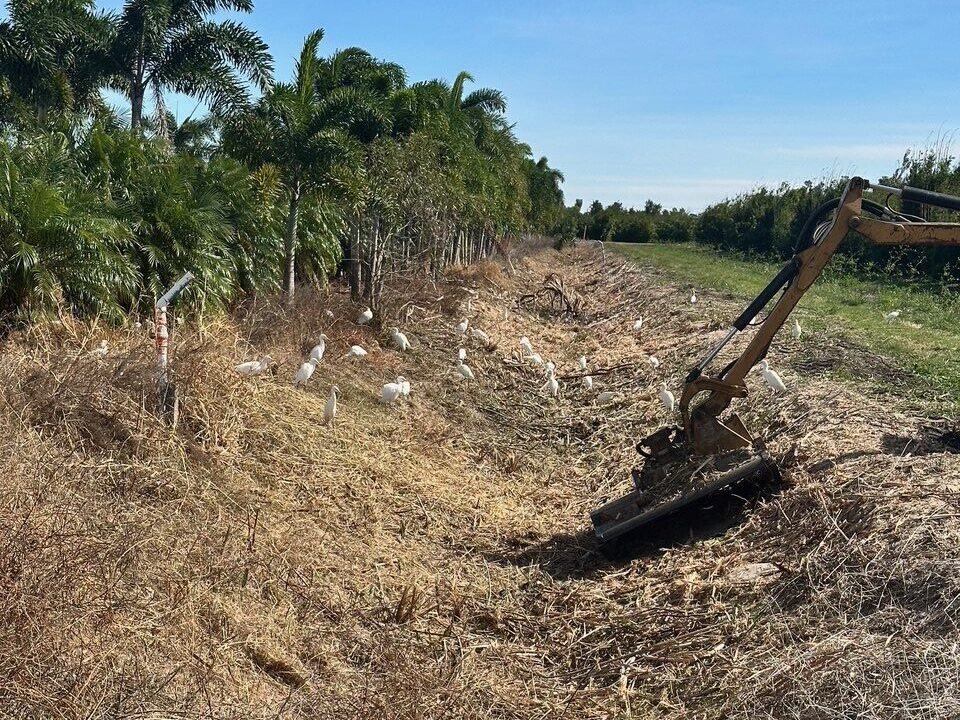 After Agricultural Ditch Clearing